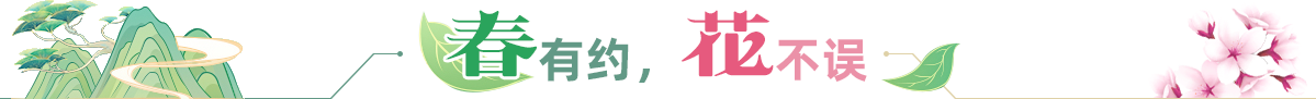 春有約，花不誤